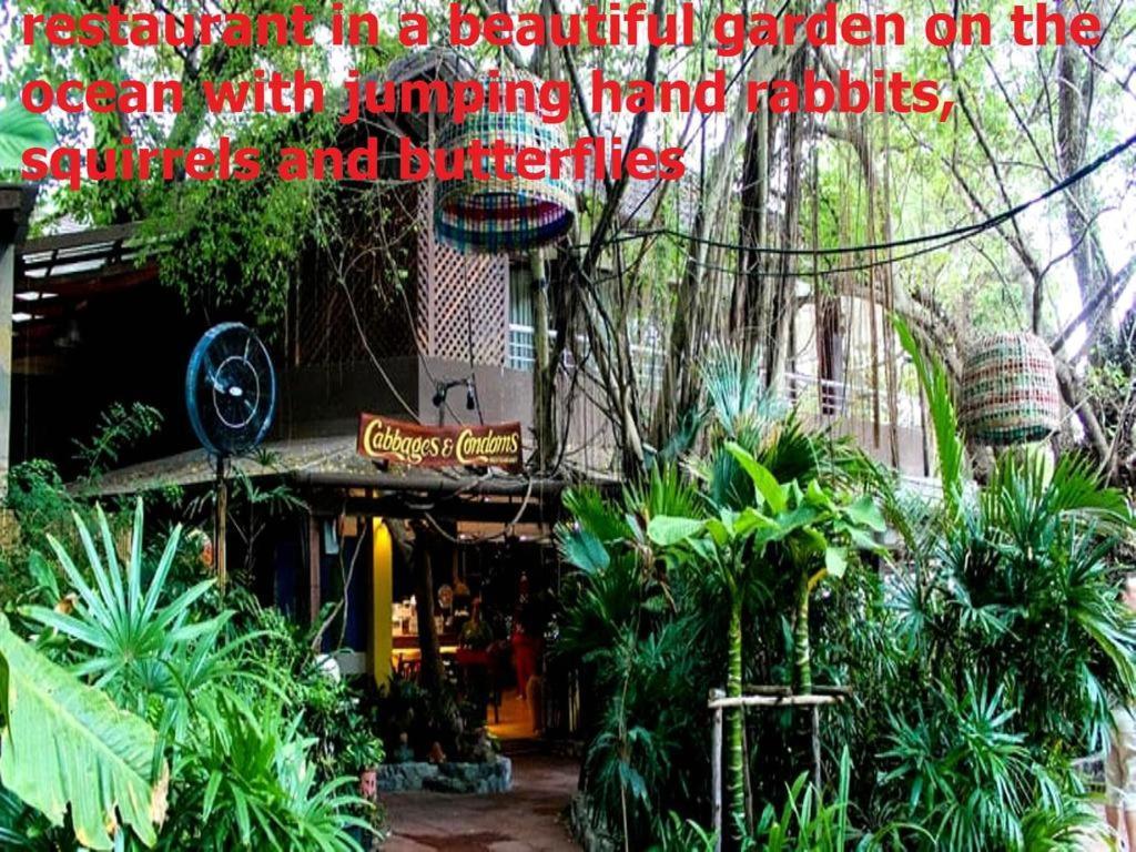 Двух-Комнатная Квартира В Кондоминимуме "Tropikal Garden" Pattaya Eksteriør bilde